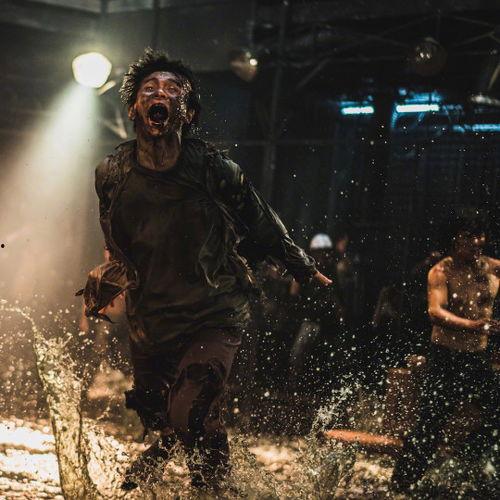 釜山行2吃瓜,病毒蔓延，吃瓜群众如何应对生死危机？