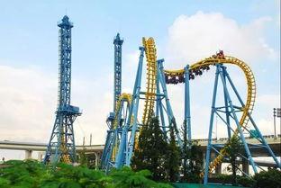 锦江乐园吃瓜事件,一场引发热议的公共秩序风波